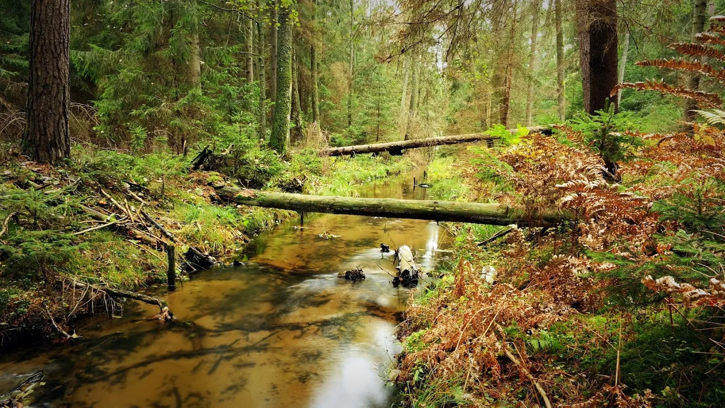 Krutynia / Mazury